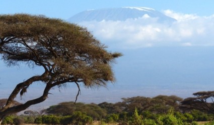 Kilimandžaro, raj za safari turiste