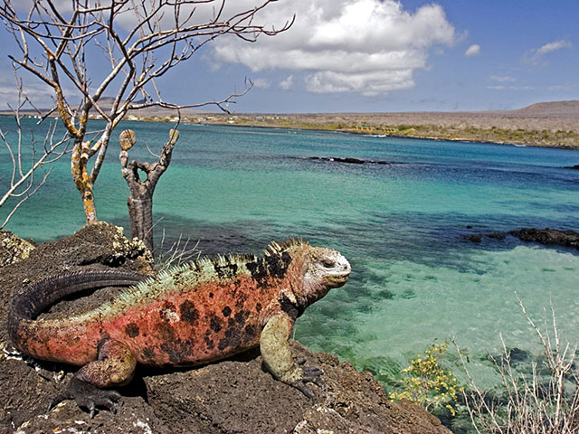 Galapagos, arhipelag čiji je jedinstveni živi svet inspirisao Čarlsa Darvina