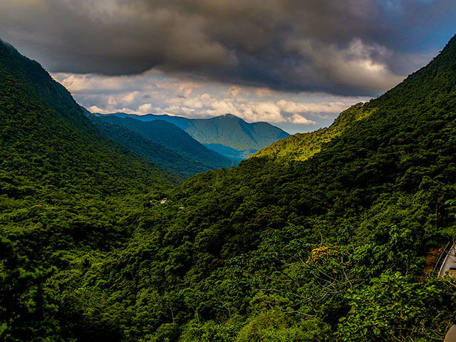 Nacionalni park Žau, zavirite u srce prašume