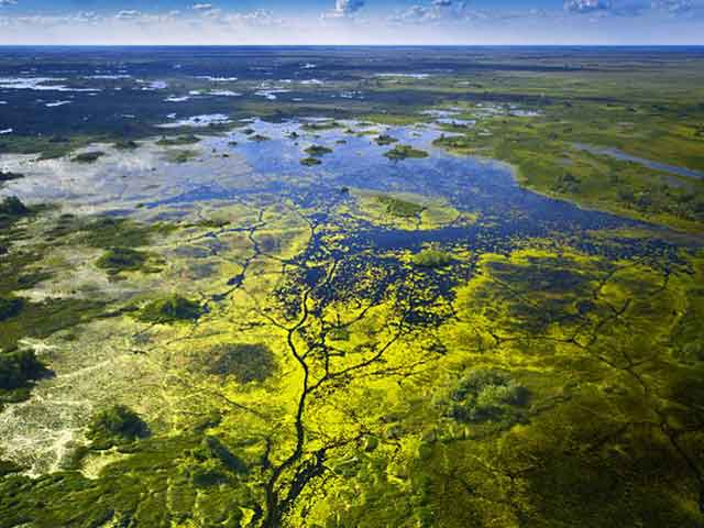 Okavango,poplave koje život znače