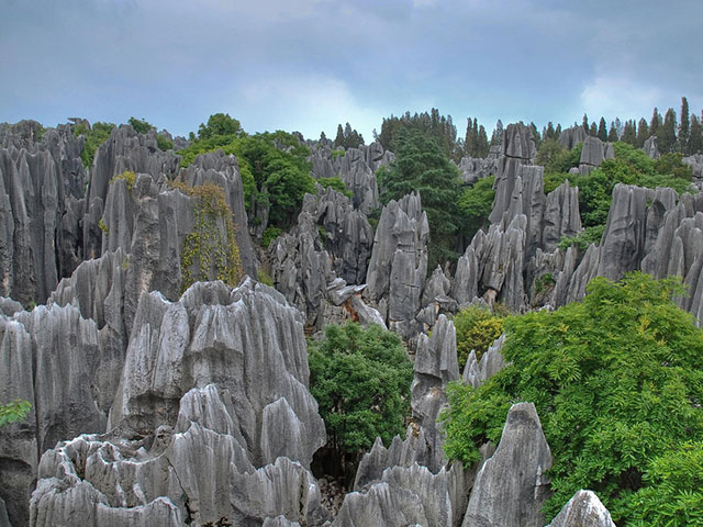 Šilin, misteriozna kamena šuma