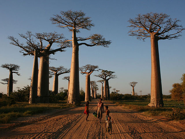 Veliko crveno ostrvo  Madagaskar, drugačije i potpuno jedinstveno