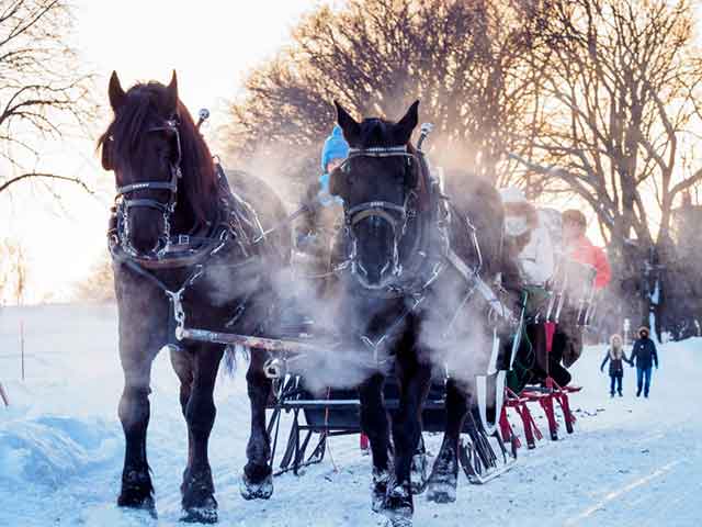 Zimski karneval u Kvebeku