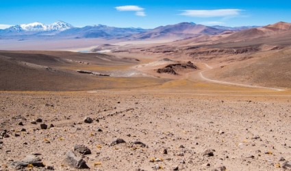 Pustinja Atakama – jedno od najsurovijih staništa naše planete 