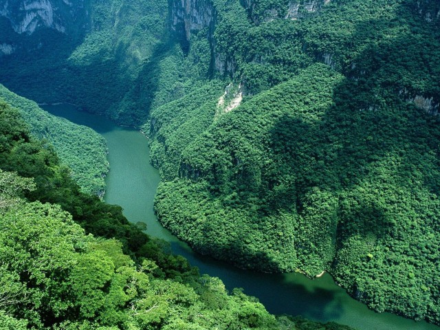 Amazon, najmoćnija reka na svetu