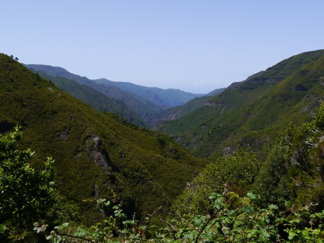 Madeira, dom drevne lovorove šume