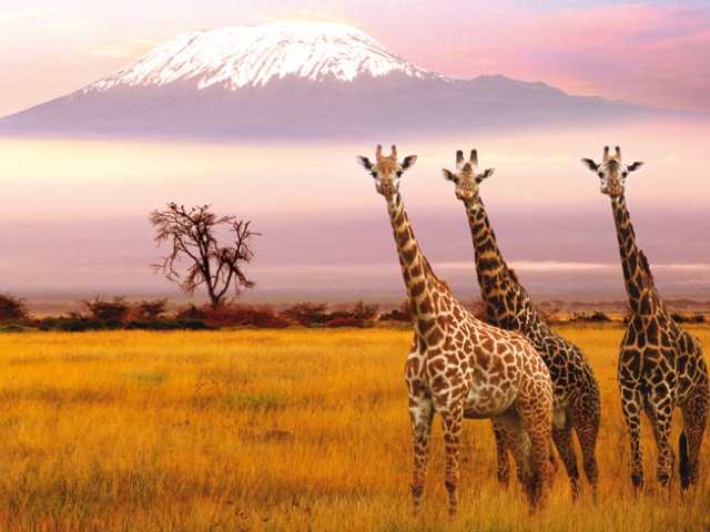Nacionalni rezervat Amboseli, najlepše od Afrike