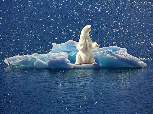 Okeani sveta - Severni ledeni okean