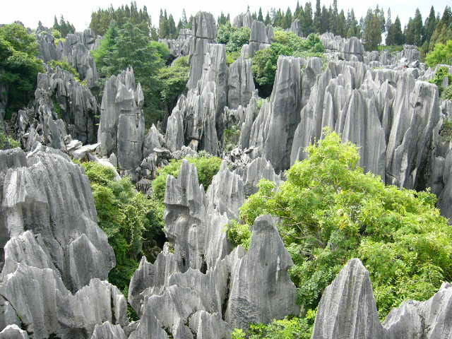 Šilin, misteriozna kamena šuma