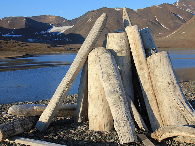 Špicberška ostrva, savršena priroda koju dele ljudi i polarni medvedi