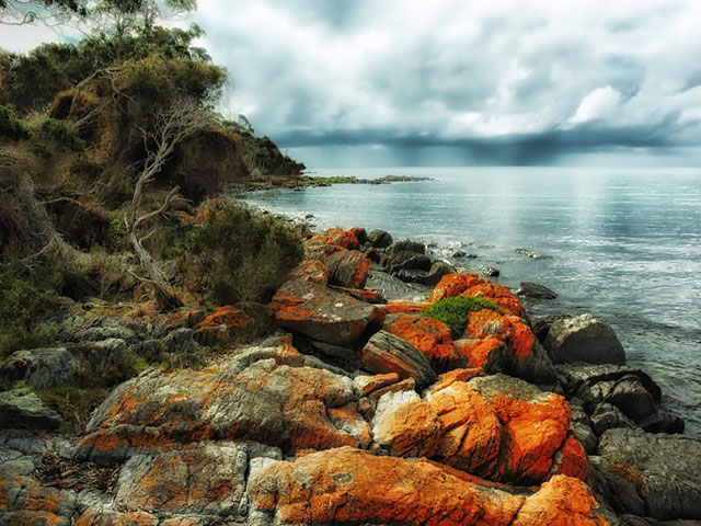 Tasmanija, rajsko ostrvo na kome živi “đavo”