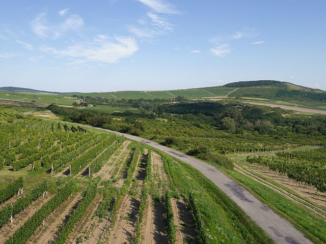 Tokajsko vinogorje, vinogradarski raj Mađarske