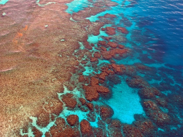 Veliki koralni greben Australije