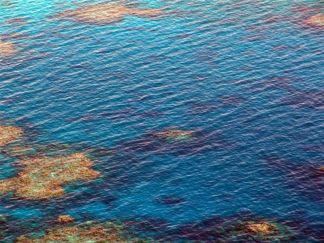 Veliki koralni greben Australije